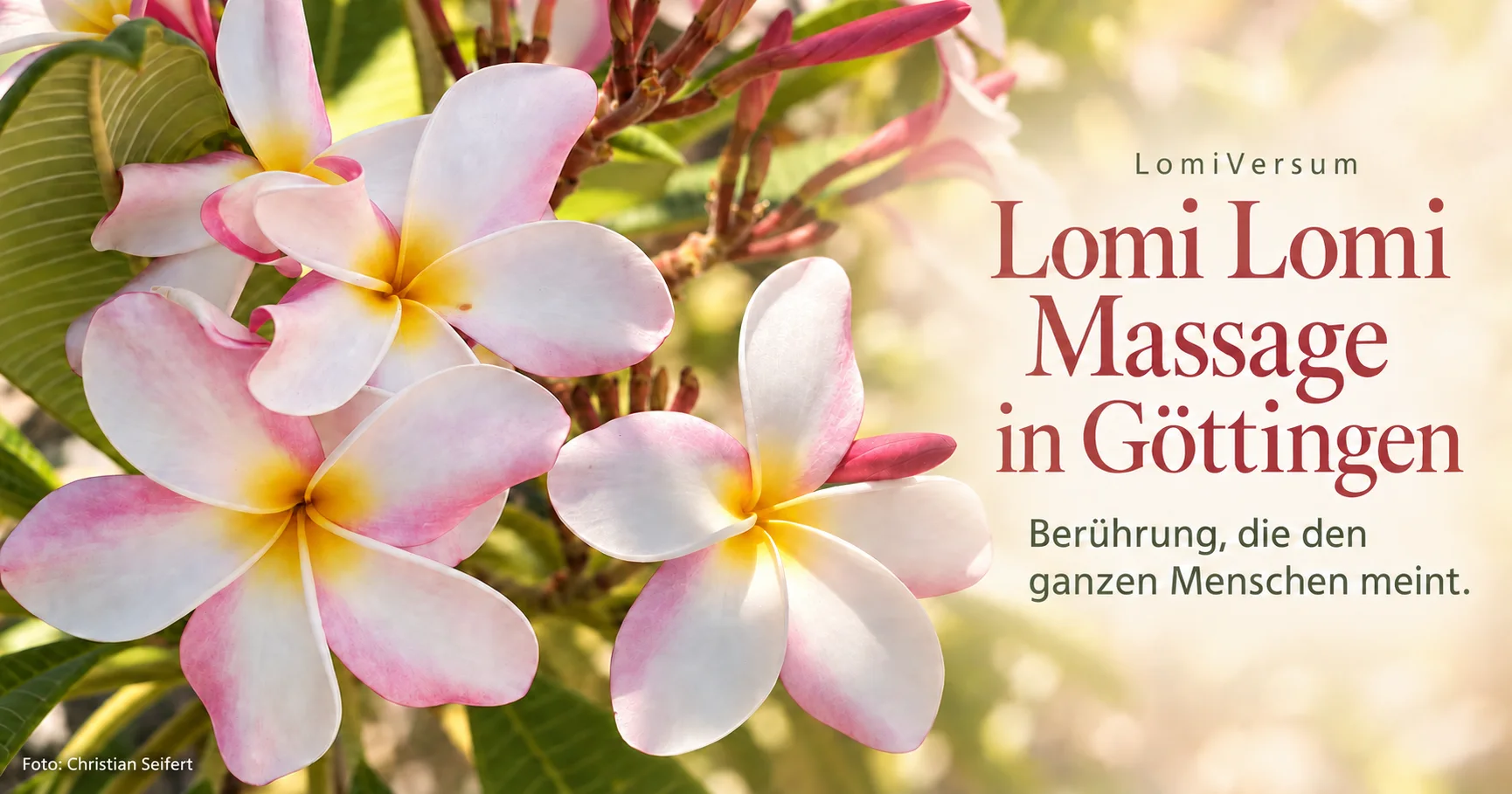 Plumeriablüten und der Schriftzug Lomi Lomi Massage in Göttingen